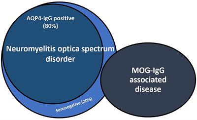 Serum and Cerebrospinal Fluid Biomarkers in Neuromyelitis Optica Spectrum Disorder and Myelin Oligodendrocyte Glycoprotein Associated Disease